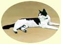 Click for larger image of cat painting