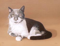 Pet Portraits - Cat Painting from Your Own Photos