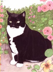 Pet Portraits - Cat paintings by Isabel Clark - English Artist