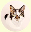 Click for Larger Image of Cat Painting