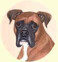 Click for larger image of Boxer dog painting
