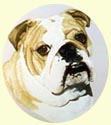 Click for larger Bulldog painting