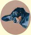Click for larger image of Dachshound dog painting