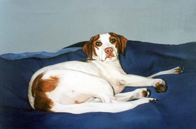 Pet  Portraits - German Pointer Full Body Study - Oils