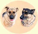 Click for Larger image of German Shepherd painting