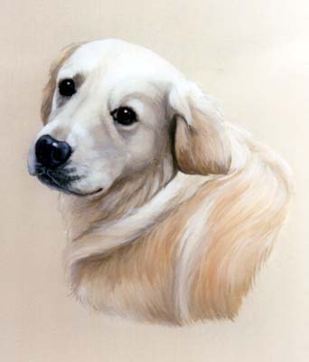 Pet Portraits - Dog Paintings from Your Own Photos - Golden Retriever
