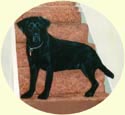 Click for Larger Image of Labrador Retriever Painting