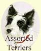 Click for More Images of Assorted Terriers
